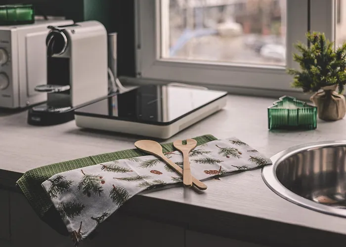 W Kamienicy Plac Bernardynski Apartman Poznań